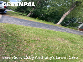 Lawn Mow nearby Blaine, MN, 