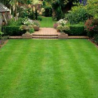 affordable-lawn-services-in-Herriman-UT