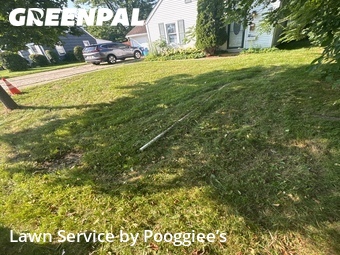 Yard Cutting nearby Buffalo, NY, 