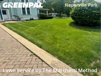 Lawn Care nearby Plainfield, IL, 