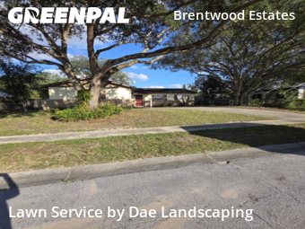 Weed Trimming in Titusville, 32796, Lawn Cutting by Dae Landscaping, work completed in Nov , 2025
