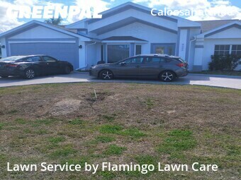 Lawn Cutting nearby Cape Coral, FL, 