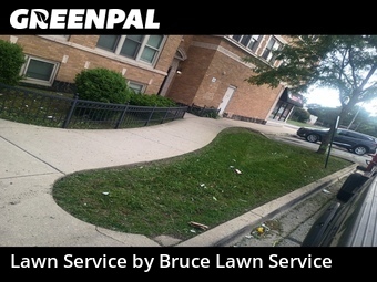 Grass Cut nearby Maywood, IL, 