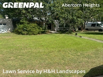 Lawn mowed in Savannah, 31405