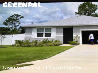 Grass Cut nearby Palm Coast, FL, 