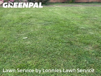 Modern Landscaping In Springfield,37172,Landscaping Services by Lonnies Lawn Service, work completed in Jul , 2026