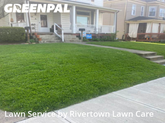 Grass Cut nearby Pittsburgh, PA, 