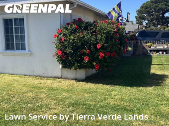 Work completed by yard-maintenance-professionals-in-Downey-CA