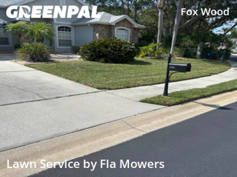Lawn Care Service nearby Trinity, FL, 
