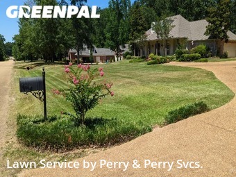 Lawn Care Service nearby Pearl, MS, 
