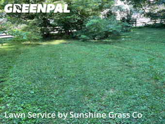 Lawn Service nearby Sellersburg, IN, 