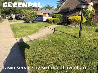 Lawn Cut nearby Lincoln Park, MI, 