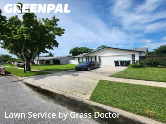 Lawn Cut nearby Orlando, FL, 