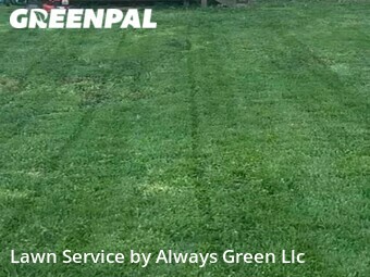 Lawn Mowing Service nearby Lexington, KY, 