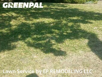 Lawn Care nearby Carrollton, TX, 
