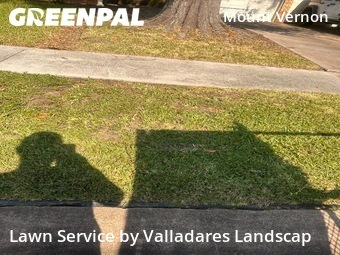 Work completed by the-yard-cutting-businesses-in-Pasadena-CA