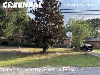 Lawn Services in Bellview, 32526, Grass Services by Asset Defense, work completed in Nov , 2025