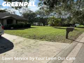 Grass Cut nearby Lakeland, FL, 