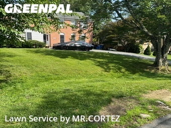 Yard Cutting nearby Potomac, MD, 