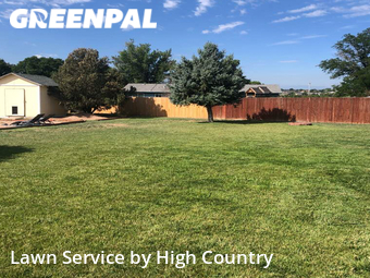 Lawn Care nearby Thornton, CO, 
