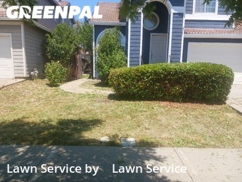 Yard Cutting nearby Fairfield, CA, 