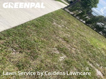 Lawn Cutin Davie,33314,Lawn Care by Caidens Lawncare , work completed in Jun , 2026