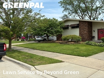 Yard Cutting nearby Lincoln Park, MI, 