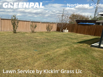 Lawn Cut nearby San Antonio, TX, 