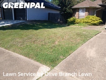 Yard Cuttingin Keller,76248,Lawn Maintenance by Olive Branch Lawn, work completed in Nov , 2025