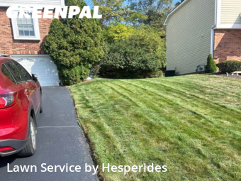 Grass Cut nearby Pittsburgh, PA, 