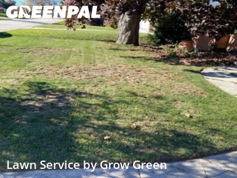 Grass Cut nearby South Milwaukee, WI, 