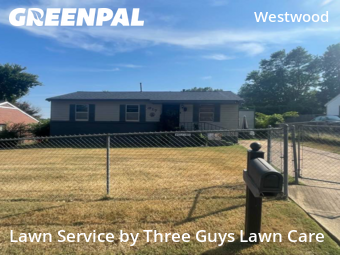 Landscapers In Memphis,38109,Landscaping Renovation by Three Guys Lawn Care, work completed in Nov , 2025
