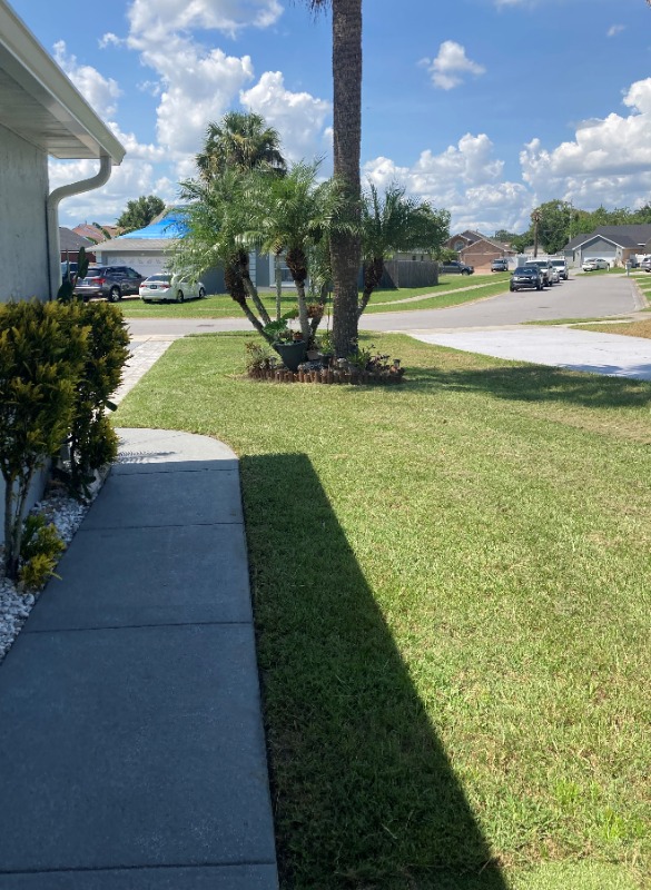 Services Landscape Lawn Care Services in Kissimmee, FL