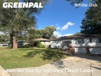 Lawn Care Service nearby Raytown, MO, 