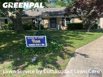 Lawn Mow nearby Virginia Beach, VA, 