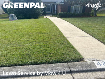 Yard Cutting nearby Tallahassee, FL, 