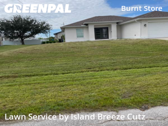 Lawn Cut nearby Cape Coral, FL, 
