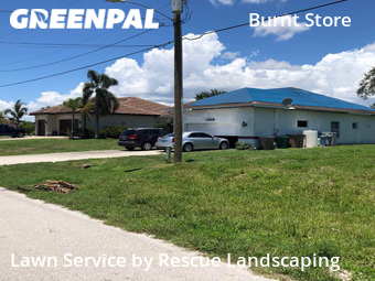 Lawn Mow nearby Cape Coral, FL, 