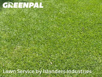 Lawn Mowing Service nearby Prairieville, LA, 