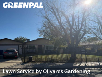 Garden Trimming in Lancaster, 93535, Yard Upkeep by Olivares Gardening , work completed in Nov , 2025