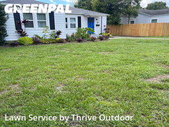 Grass Cut nearby Tampa, FL, 