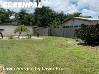 Grass Cut nearby Sarasota, FL, 