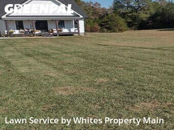 Lawn Care Service nearby Greenback, TN, 