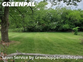 Lawn Service nearby Cincinnati, OH, 