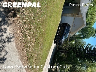 Grass Cut nearby Holiday, FL, 
