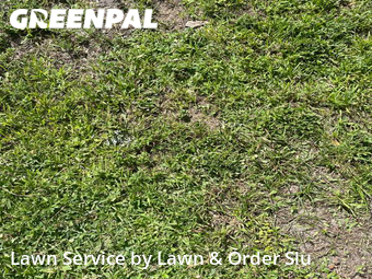 Lawn Mow nearby Hollywood, FL, 