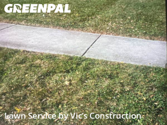 Grass Cutting in Romeoville, 60446, Lawn Mowing by Vic’s Construction , work completed in Nov , 2025