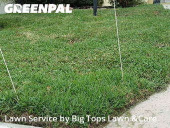 Lawn Servicein Altamonte Springs,32701,Lawn Mowing Service by Big Tops Lawn &Care, work completed in Nov , 2025