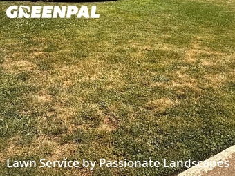 Grass Cutting nearby Puyallup, WA, 