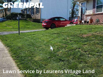 Lawn Cut nearby Sterling, VA, 